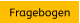 Fragebogen