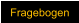 Fragebogen