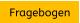 Fragebogen