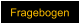 Fragebogen